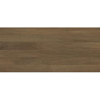 Quarta brown wall 04 250х600 1 053 руб. /м2